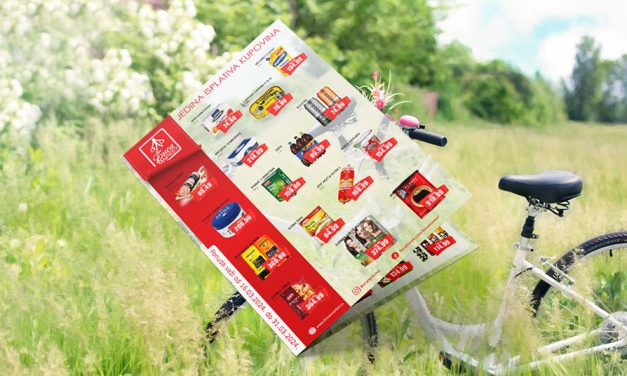 Bisa katalog mart II 2024